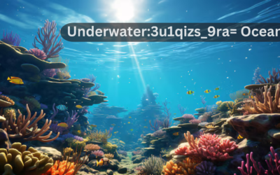 Underwater:3u1qizs_9ra= Ocean